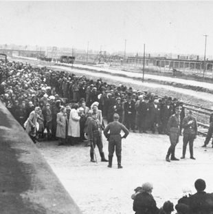 Auschwitz-Birkenau selektering